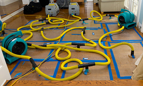 Professional Crawl Space Water Removal technician working in Leesville, TX